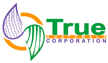 Logotipo a color de True Corporation Guatemala