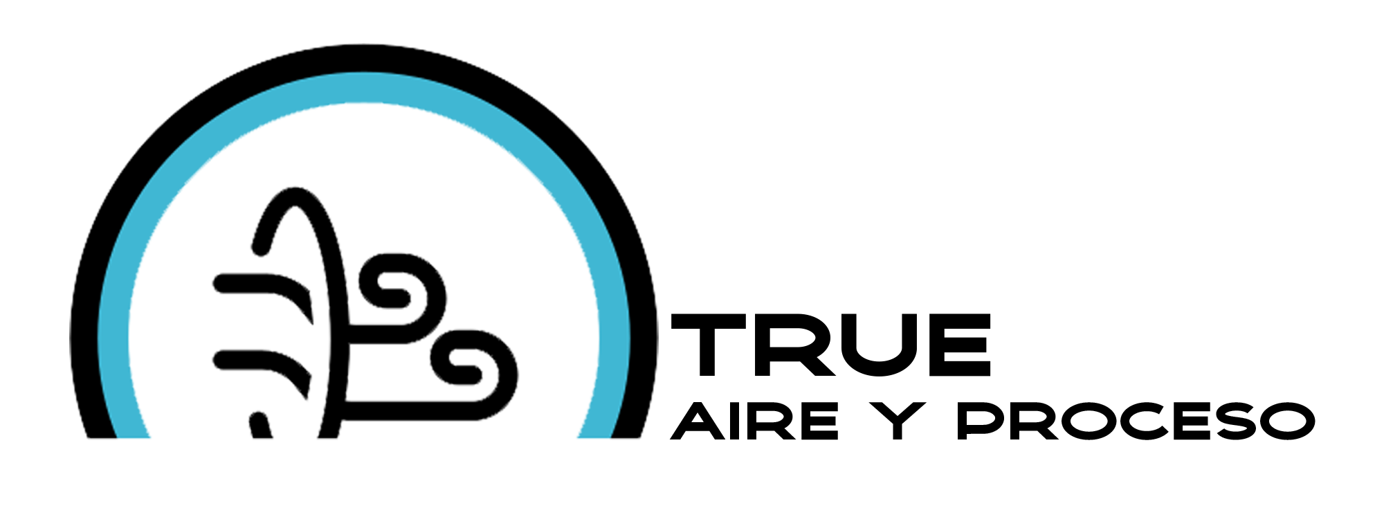 Logotipo de True Aire y Proceso